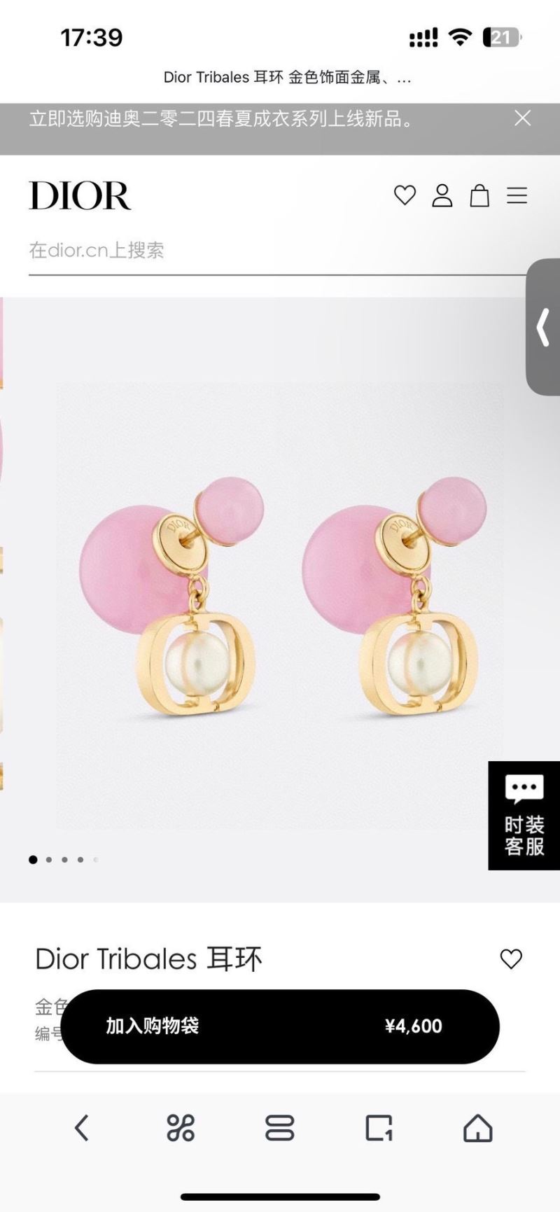 Christian Dior Earrings